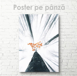 Poster, Vedere de jos