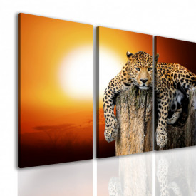 Tablou modular, Leopardul la apusul soarelui