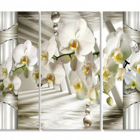 Tablou modular, Orhidee albă pe un fundal 3D