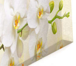 Tablou modular, Orhidee albă pe un fundal bej.
