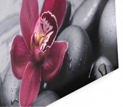 Tablou modular, Orhidee bordo pe o piatră neagră