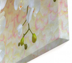 Tablou modular, Orhidee pe un fundal bej.