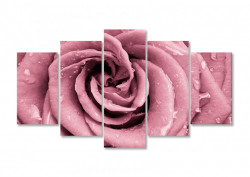 Tablou modular, Trandafirul roz