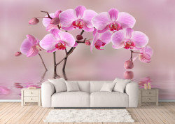 Fototapet, O orhidee frumoasă roz