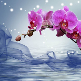 Fototapet, Orhidee și apă