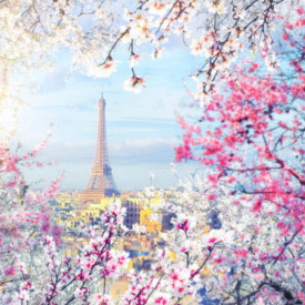Fototapet, Priveliște din Paris