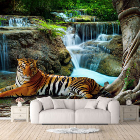 Fototapet, Tigrul se odihnește lângă cascadă