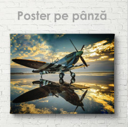 Poster, Avion pe fond de apus de soare