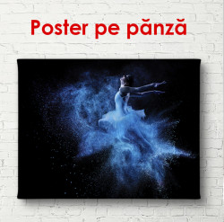 Poster, Balerină