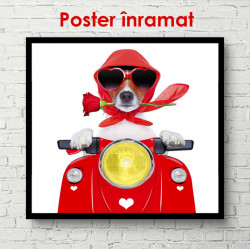 Poster, Câine care conduce un moped