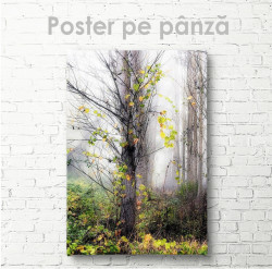Poster, Copac de toamnă