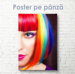 Poster, Fată cu păr curcubeu