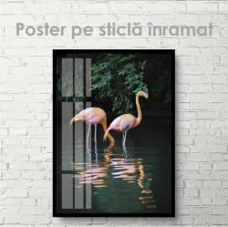 Poster, Flamingo în jungla întunecată