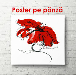 Poster, Floarea roșie