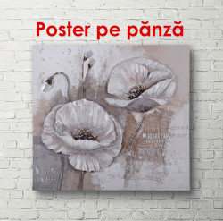 Poster, Flori albe