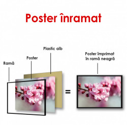 Poster, Florile de primăvară roz