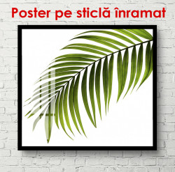 Poster, Frunză pe un fundal alb
