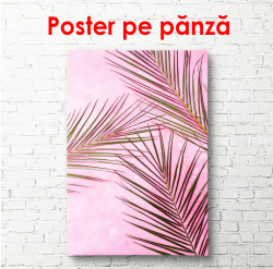 Poster, Frunze de palmier pe fundal roz aprins