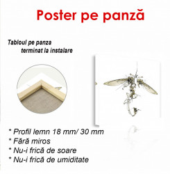Poster, Insectă abstractă pe un fundal alb