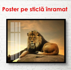 Poster, Leul pe piatra