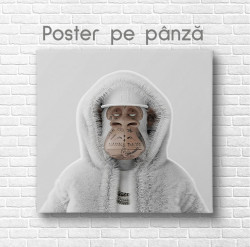 Poster, Maimuța Glamour