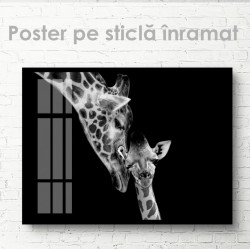 Poster, Mama girafă și copilul ei