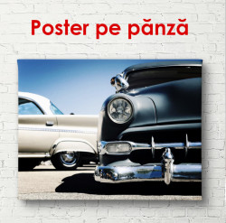 Poster, Mașina albastră și albă