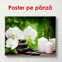 Poster, Orhidee albe pe pietre pe un fundal verde