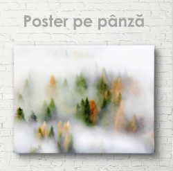 Poster, Pădure cețoasă cu brazi