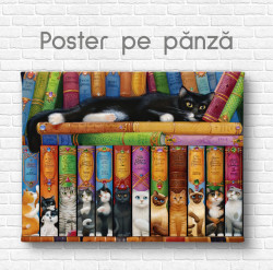 Poster, Pisici și cărțile