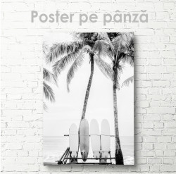 Poster, Placi de surf