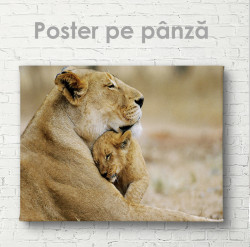 Poster, Pui de leu cu mama