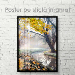 Poster, Râul din pădure