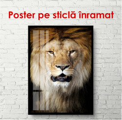 Poster, Regele animalelor