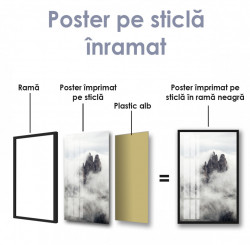 Poster, Stânci prin ceață