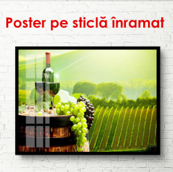Poster, Sticlă de vin într-o podgorie verde
