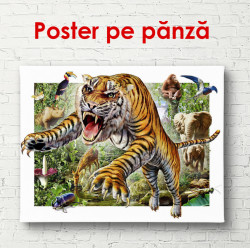 Poster, Tigru înfuriat în fundalul junglei