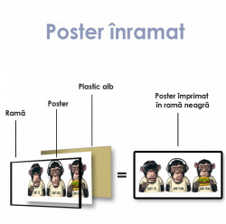 Poster, Trei maimuțe