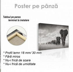 Poster, Turma de elefanți