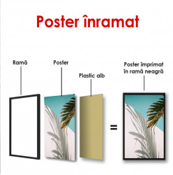 Poster, Umbre de palmier tropicali