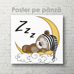 Poster, Ursul somnoros