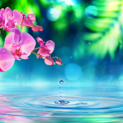 Tablou modular, Orhidee roz în reflexia apei