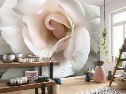 Fototapet 3D, Floare delicată cu picături de rouă