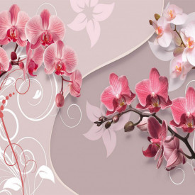 Fototapet, Orhidee roz și ornamente albe
