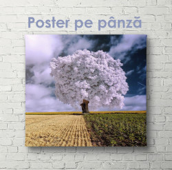 Poster, Arborele mov în câmpul de grâu