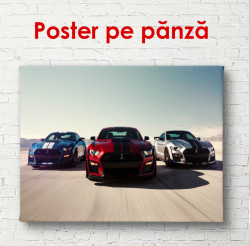 Poster, Cursă în deșert