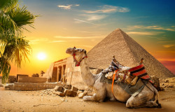 Poster, Egipt - Piramida - Cămilă și apus