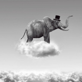 Poster, Elefantul alb-negru în nori