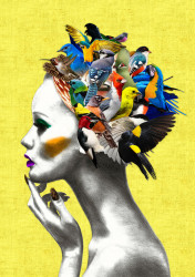 Poster, Fata cu păsări