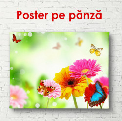 Poster, Flori de primăvară luminoase cu fluturi